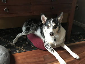 Meet your Posher, Georgia